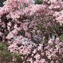 北京旅游 缩略图 17
