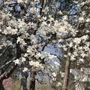 北京旅游 缩略图 18