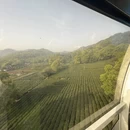 杭州旅游 缩略图 5
