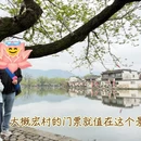 黄山旅游 缩略图 2