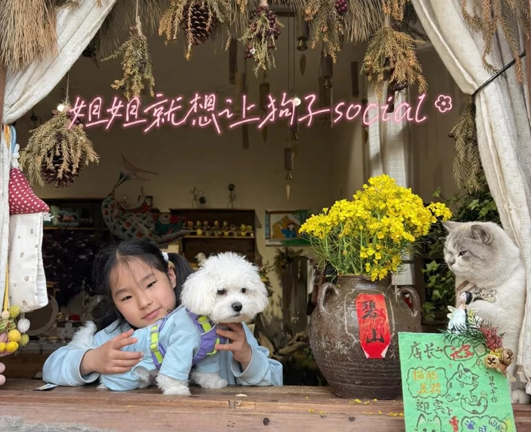 黄山旅游 1