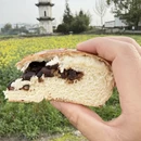 黄山旅游 缩略图 9