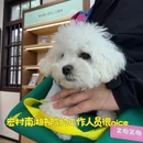 黄山旅游 缩略图 3