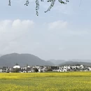 黄山旅游 缩略图 10