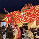 黄山旅游 缩略图 12