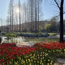 青岛旅游 缩略图 1