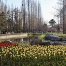 青岛旅游 缩略图 3