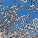 青岛旅游 缩略图 8