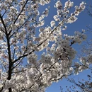 青岛旅游 缩略图 13