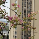 重庆旅游 缩略图 2