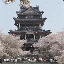 无锡旅游 缩略图 1