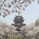 无锡旅游 缩略图 6