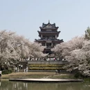 无锡旅游 缩略图 2