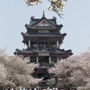 无锡旅游 缩略图 4