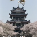 无锡旅游 缩略图 14