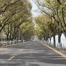 无锡旅游 缩略图 15