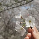 无锡旅游 缩略图 1