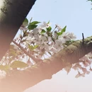 无锡旅游 缩略图 3