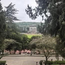 武汉旅游 缩略图 3