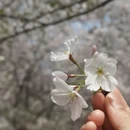 无锡旅游 缩略图 5