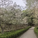 武汉旅游 缩略图 13