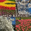 青岛旅游 缩略图 1