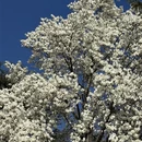 青岛旅游 缩略图 4