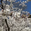 青岛旅游 缩略图 3