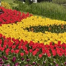 青岛旅游 缩略图 10