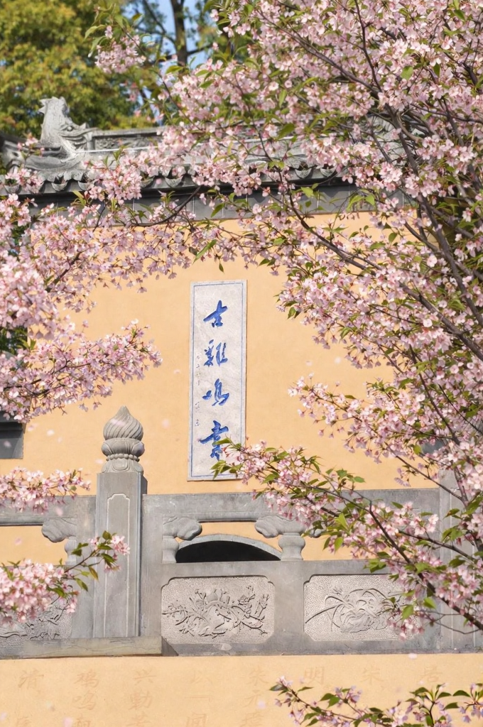 南京旅游