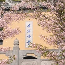 南京旅游 缩略图 1