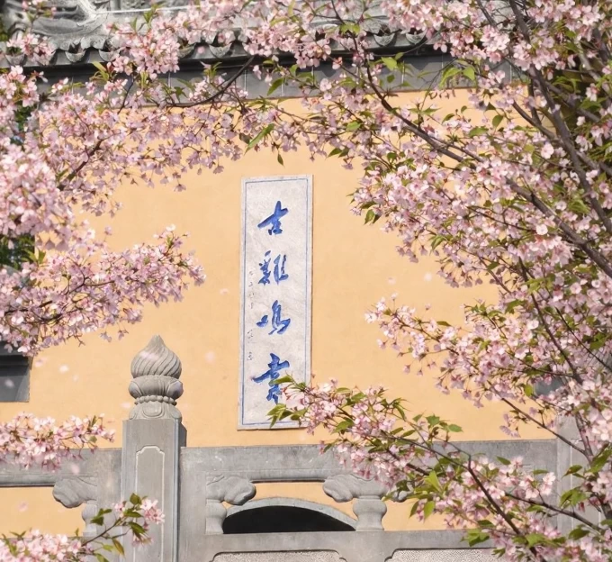 南京旅游 1