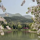 西安旅游 缩略图 10