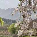 西安旅游 缩略图 9