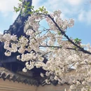 无锡旅游 缩略图 5