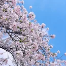 无锡旅游 缩略图 2