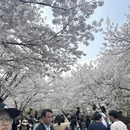 无锡旅游 缩略图 6