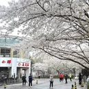 上海旅游 缩略图 11