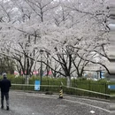 上海旅游 缩略图 10