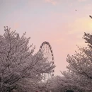 上海旅游 缩略图 1
