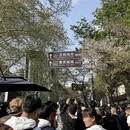 南京旅游 缩略图 4
