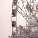上海旅游 缩略图 4