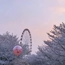上海旅游 缩略图 5