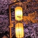 上海旅游 缩略图 9