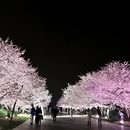 上海旅游 缩略图 9