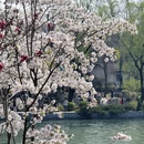 北京旅游 缩略图 2