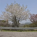 苏州旅游 缩略图 1