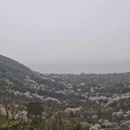 苏州旅游 缩略图 6