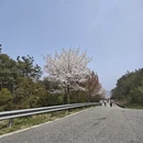苏州旅游 缩略图 9