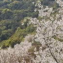 苏州旅游 缩略图 5